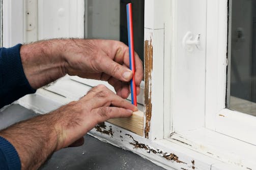 Avdekk det råtne treverket: Merk opp området som er angrepet, pluss et par millimeter inn på det friske treverket Avdekk det råtne treverket: Merk opp området som er angrepet, pluss et par millimeter inn på det friske treverket